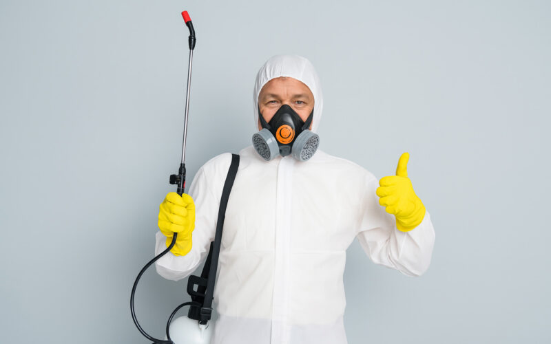 Schädlingsbekämpfungen Staudenmayer (2)